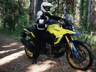 Eine gelbe Suzuki V-Strom 800DE fährt 2022 auf einem Waldweg.