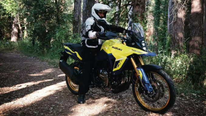 Eine gelbe Suzuki V-Strom 800DE fährt 2022 auf einem Waldweg.